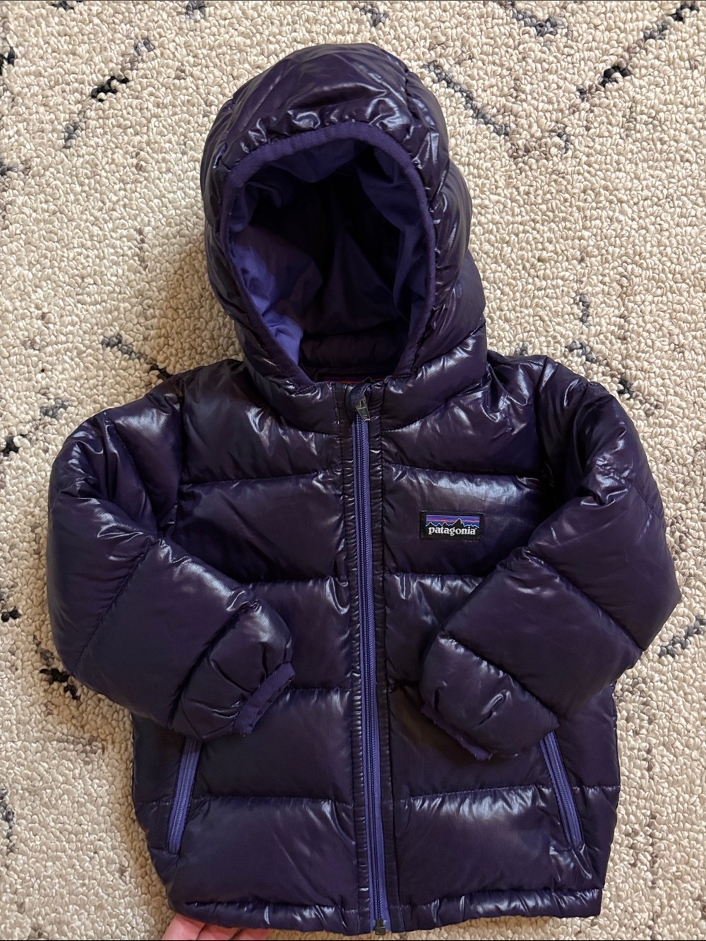 Patagonia Kids Puffer Jacket (12-18m)EUC